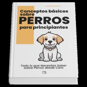 Concepto basicos sobre perros