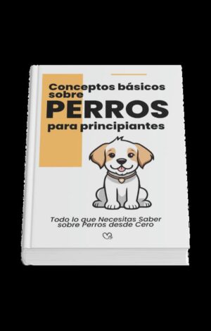 Concepto basicos sobre perros