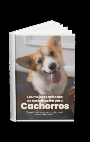 Los mejores métodos de sociabilización para cachorros